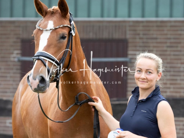 PSB Eliteschau Teil 1 Siegerstuten 10