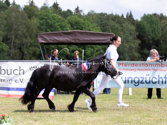 PSB Eliteschau Elite-Auszeichnungen 15