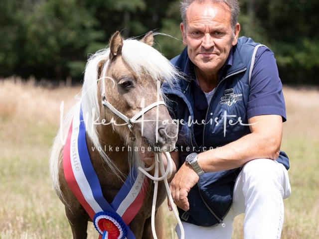 PSB Eliteschau Elite-Auszeichnungen 16