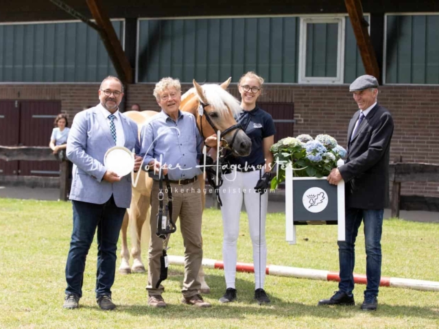 PSB Eliteschau Teil 1 Siegerstuten 28