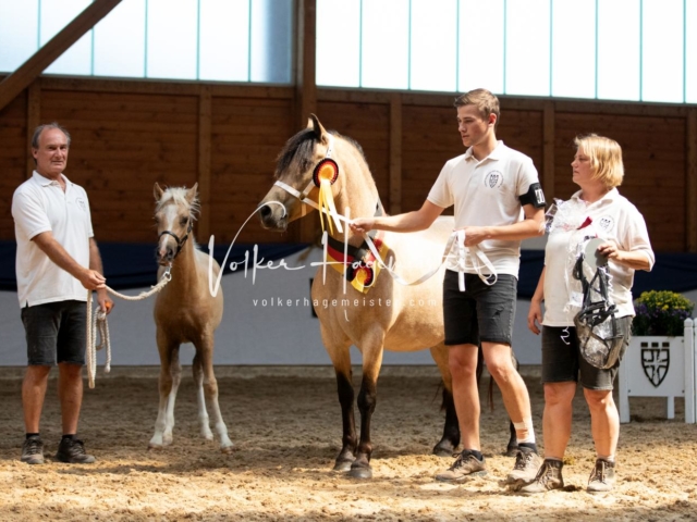 ZfdP Bundesschau Samstag 13