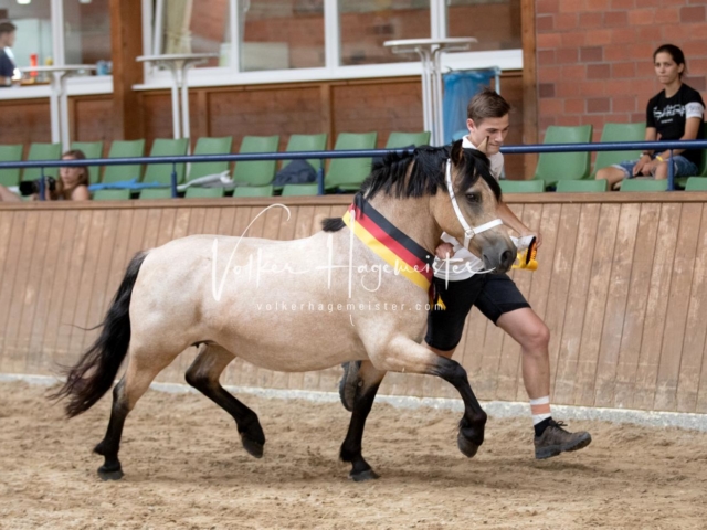 ZfdP Bundesschau Samstag 14
