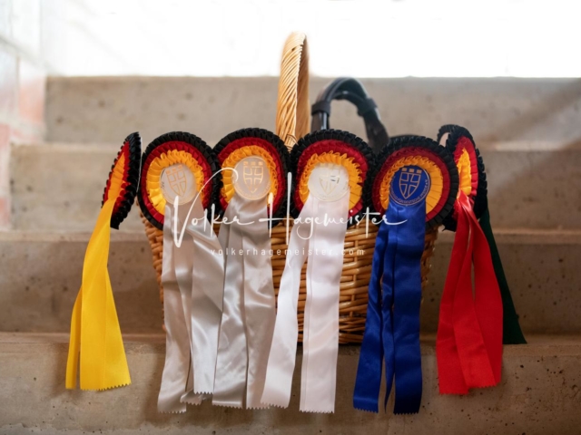 ZfdP Bundesschau Sonntag 10