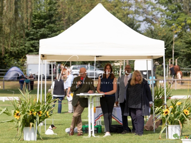 PSB Fohlenchampionat 9