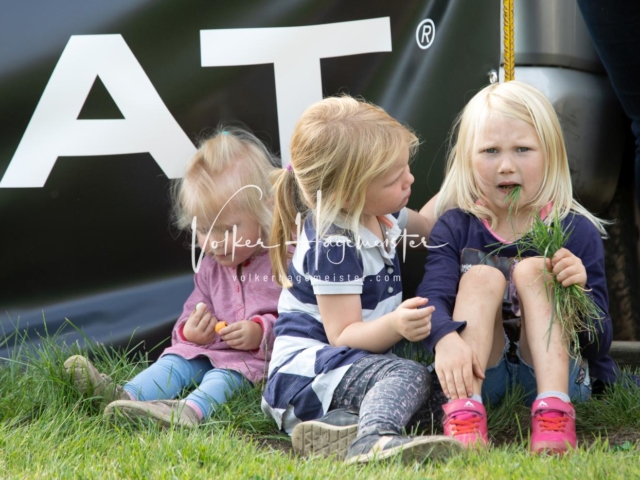 PSB Fohlenchampionat 10