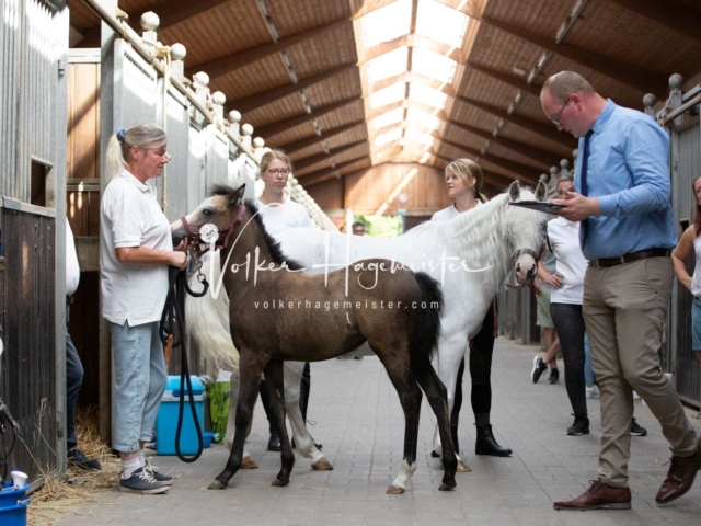 ZfdP Bundesschau Samstag 19
