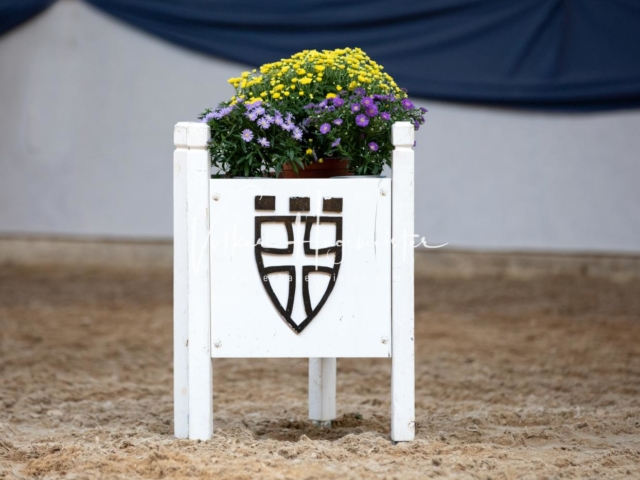 ZfdP Bundesschau Samstag 21