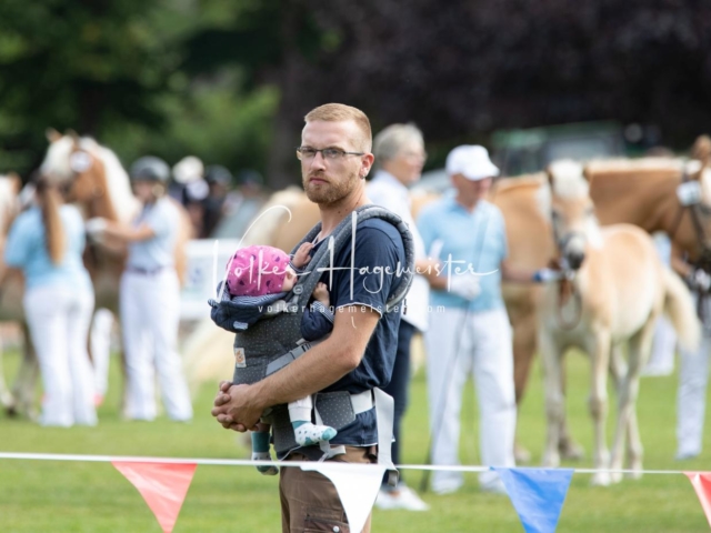 PSB Fohlenchampionat 16