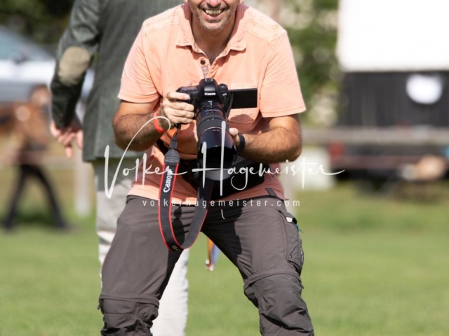 PSB Fohlenchampionat 17