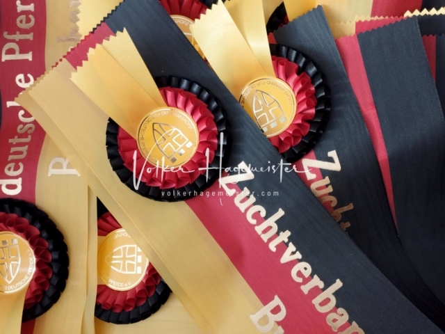 ZfdP Bundesschau Samstag 28