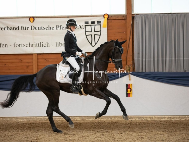 ZfdP Bundesschau Sonntag 15