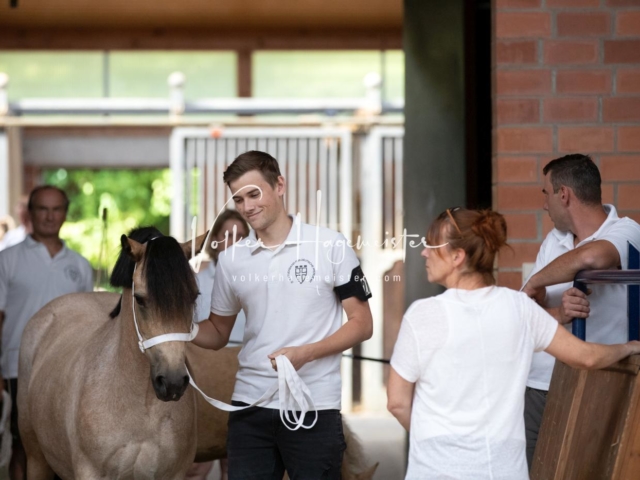 ZfdP Bundesschau Samstag 4