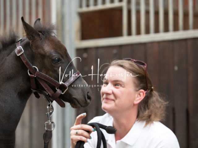 ZfdP Bundesschau Samstag 30