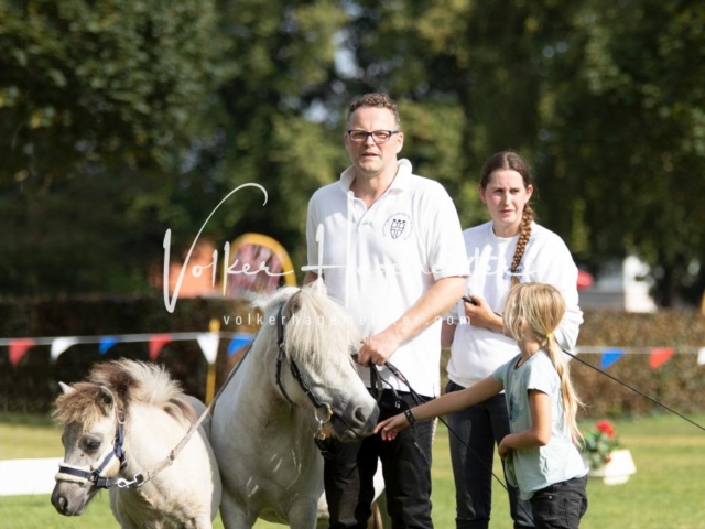 PSB Fohlenchampionat 6