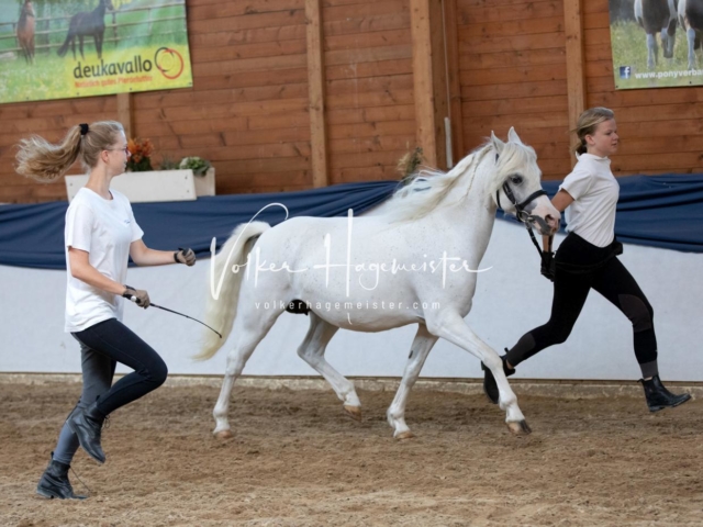 ZfdP Bundesschau Samstag 11