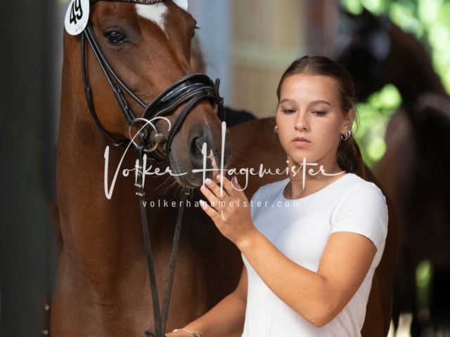 ZfdP Bundesschau Sonntag 30