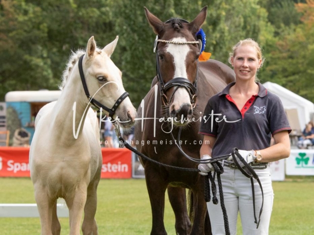 PSB Fohlenchampionat 14