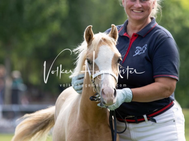 PSB Fohlenchampionat 30