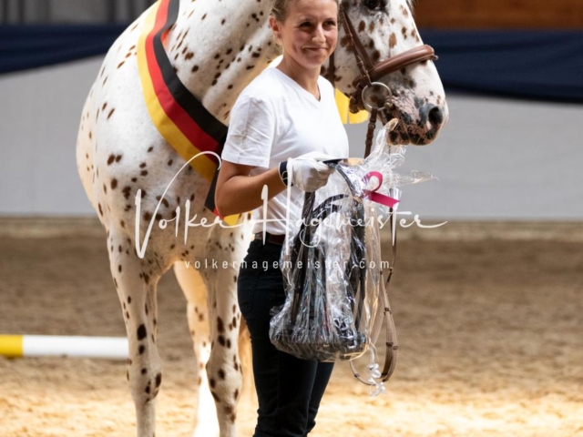 ZfdP Bundesschau Samstag 23