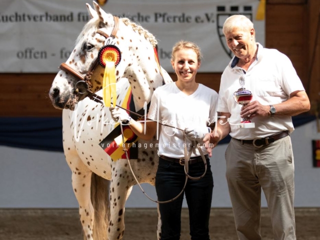 ZfdP Bundesschau Samstag 25