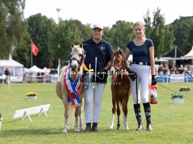 PSB Fohlenchampionat 10