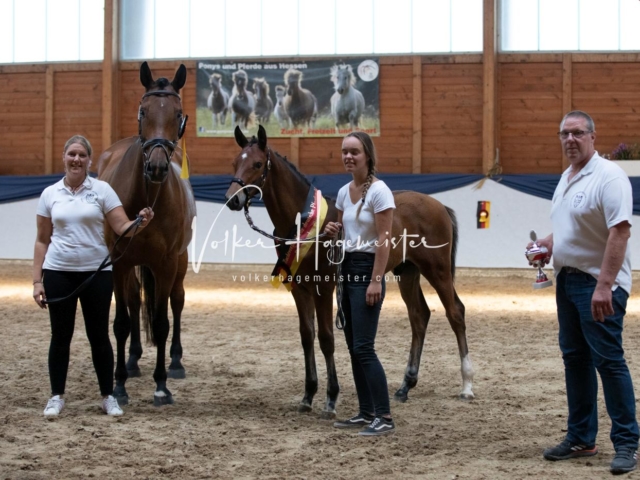 ZfdP Bundesschau Sonntag 25