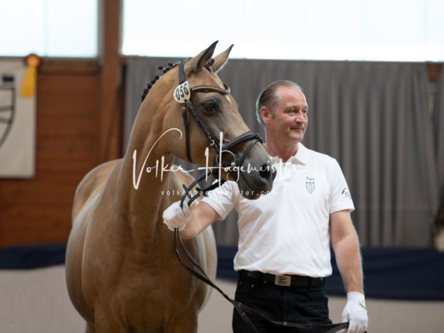 ZfdP Bundesschau Sonntag 30