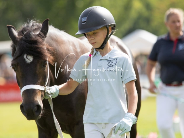 PSB Fohlenchampionat 8