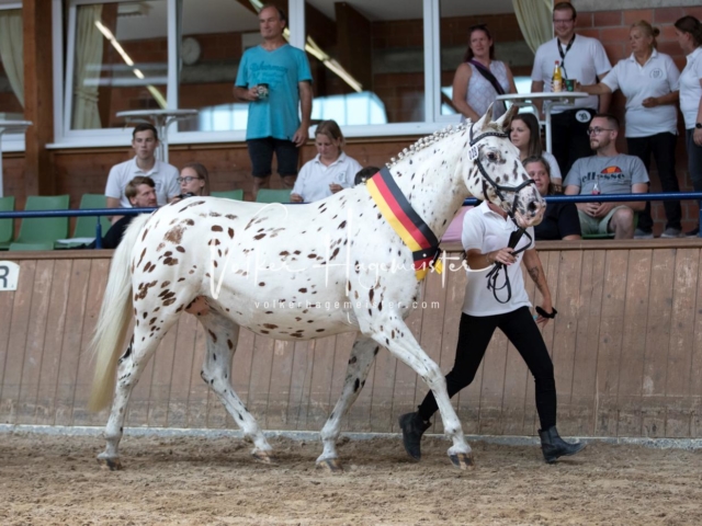 ZfdP Bundesschau Samstag 2