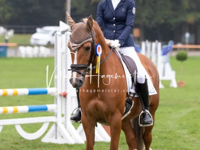 Landesponyturnier Impressionen Sonntag 2