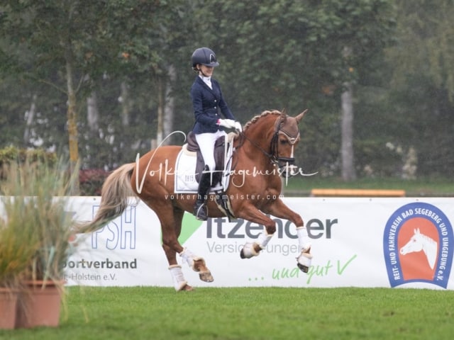 Landesponyturnier Impressionen Sonntag 3