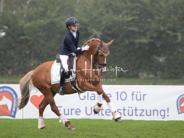 Landesponyturnier Impressionen Sonntag 4