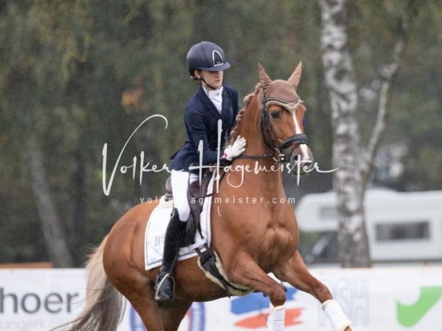 Landesponyturnier Impressionen Sonntag 5