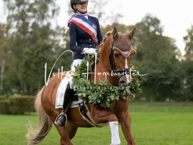 Landesponyturnier Impressionen Sonntag 8