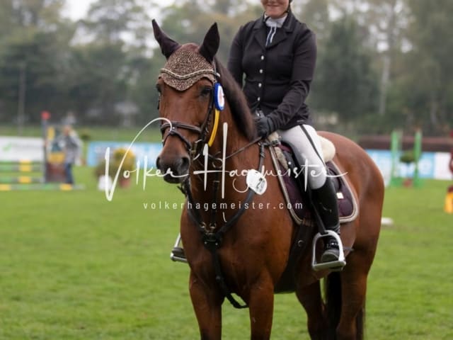 Landesponyturnier Impressionen Sonntag 11