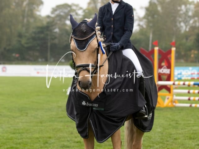 Landesponyturnier SH/HH Impressionen Samstag 1