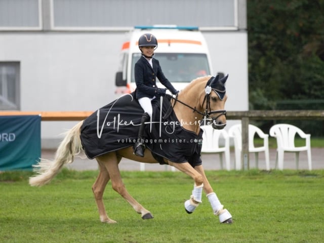 Landesponyturnier SH/HH Impressionen Samstag 2