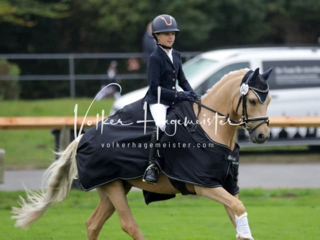 Landesponyturnier SH/HH Impressionen Samstag 3