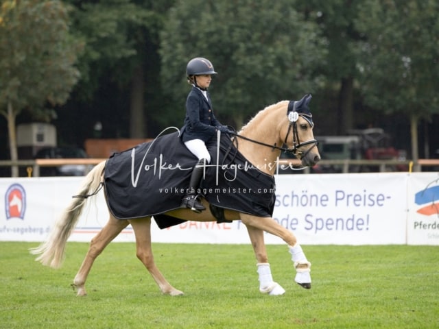 Landesponyturnier SH/HH Impressionen Samstag 4