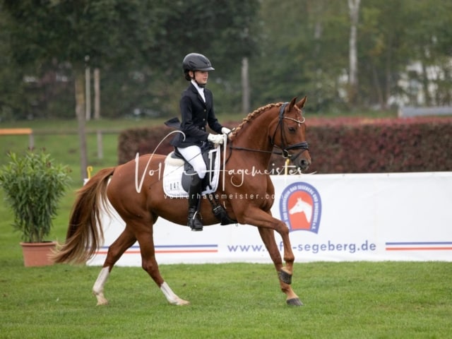 Landesponyturnier SH/HH Impressionen Samstag 5