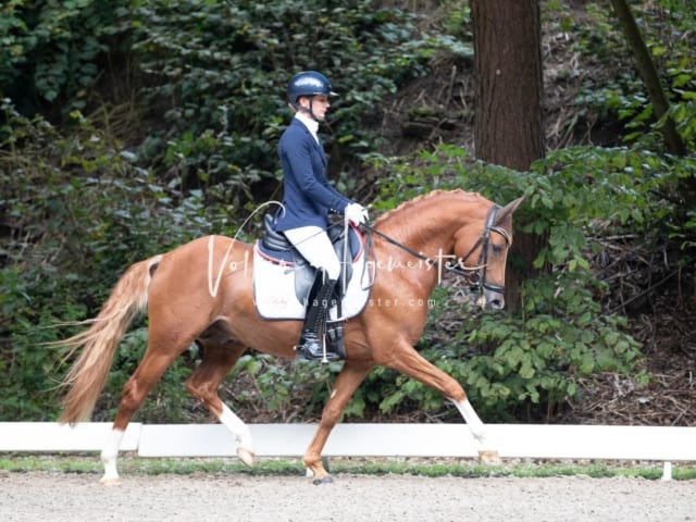 Landesponyturnier SH/HH Impressionen Samstag 8