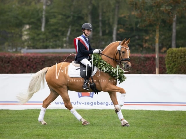 Landesponyturnier SH/HH Impressionen Samstag 13