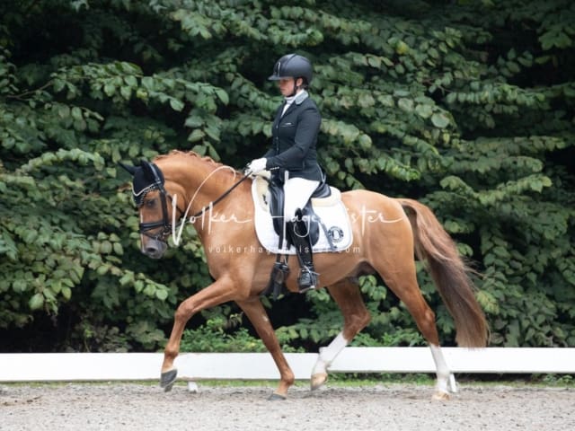 Landesponyturnier SH/HH Impressionen Samstag 15