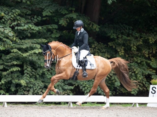 Landesponyturnier SH/HH Impressionen Samstag 16