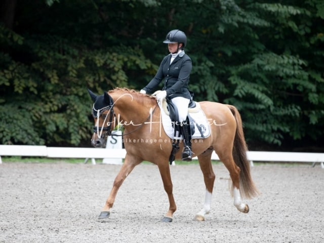 Landesponyturnier SH/HH Impressionen Samstag 17