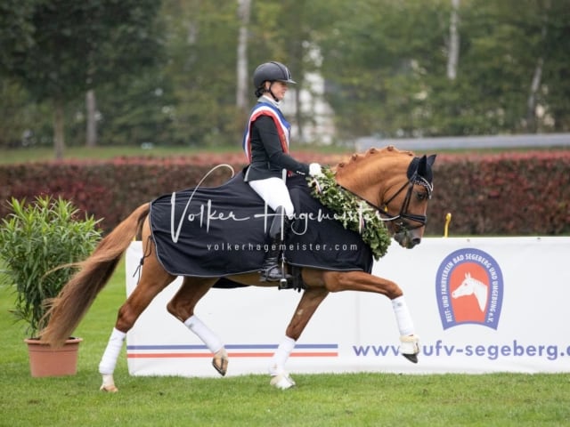 Landesponyturnier SH/HH Impressionen Samstag 19