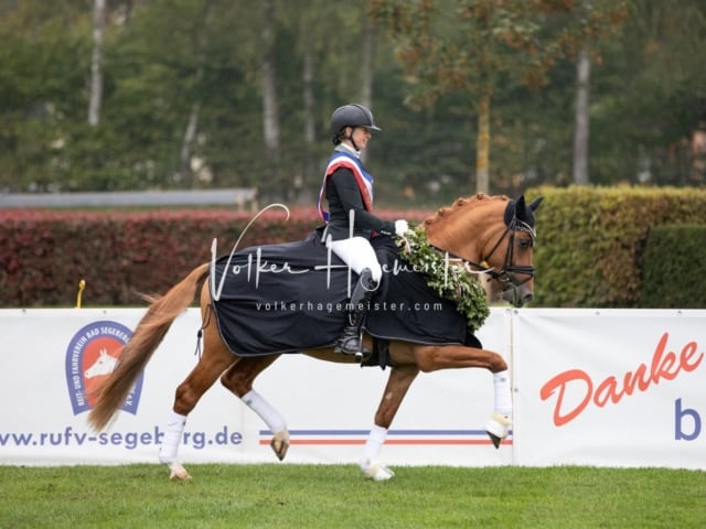 Landesponyturnier SH/HH Impressionen Samstag 20