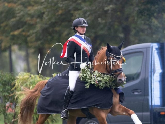 Landesponyturnier SH/HH Impressionen Samstag 21