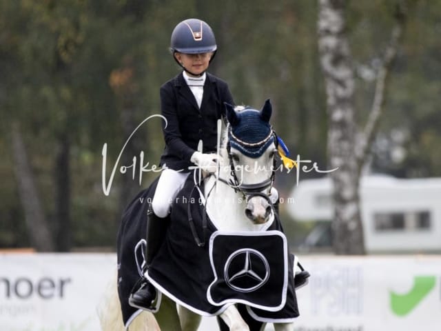 Landesponyturnier SH/HH Impressionen Samstag 24