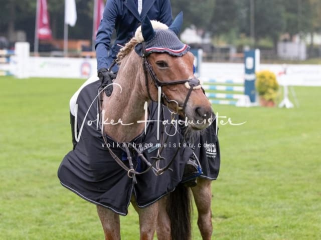 Landesponyturnier SH/HH Impressionen Samstag 2